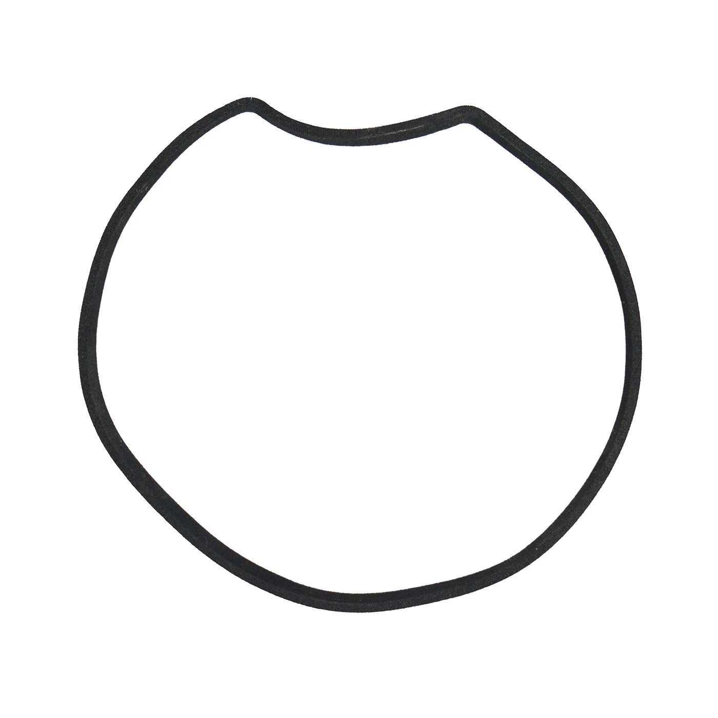 BIBER 22 BÜRSTE Kopfdichtung