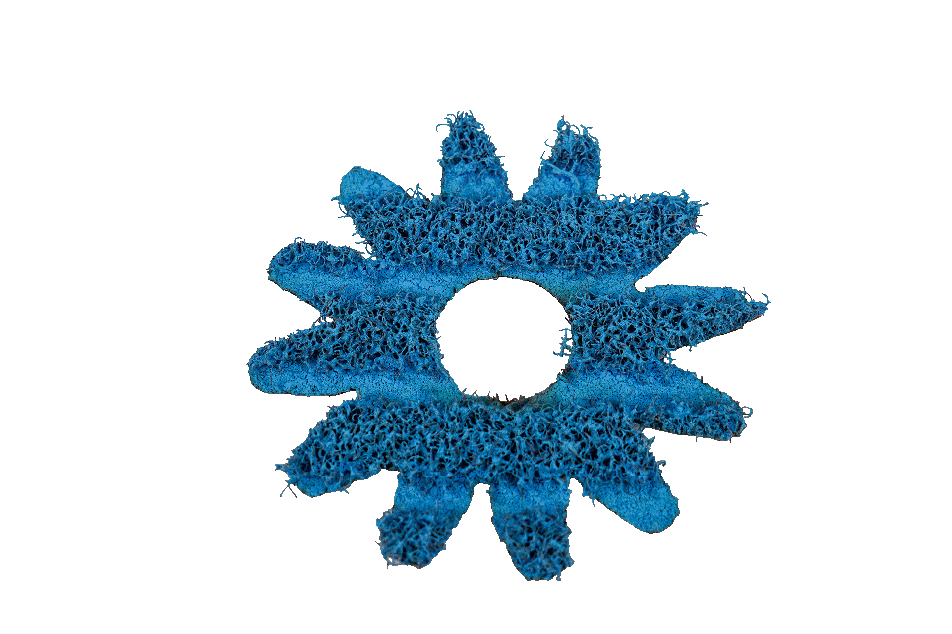 ErsatzMop ClearMop Blau Hart für BIMBI 11 Bürste