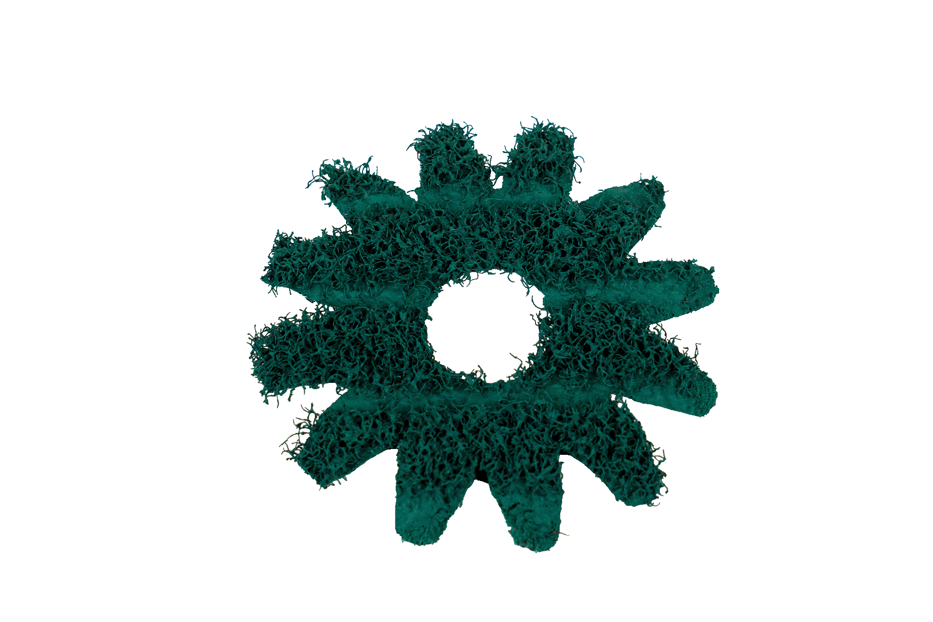 ErsatzMop ClearMop Grün Medium für BIMBI 11 Bürste