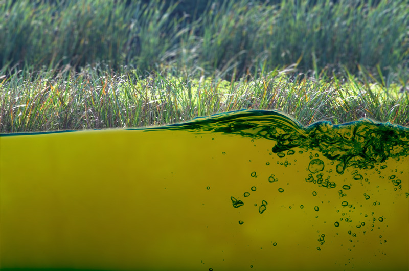 Unangenehme Gerüche, brackiges Wasser